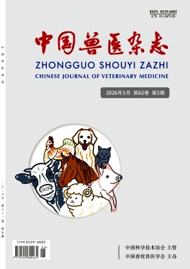 中国兽医封面